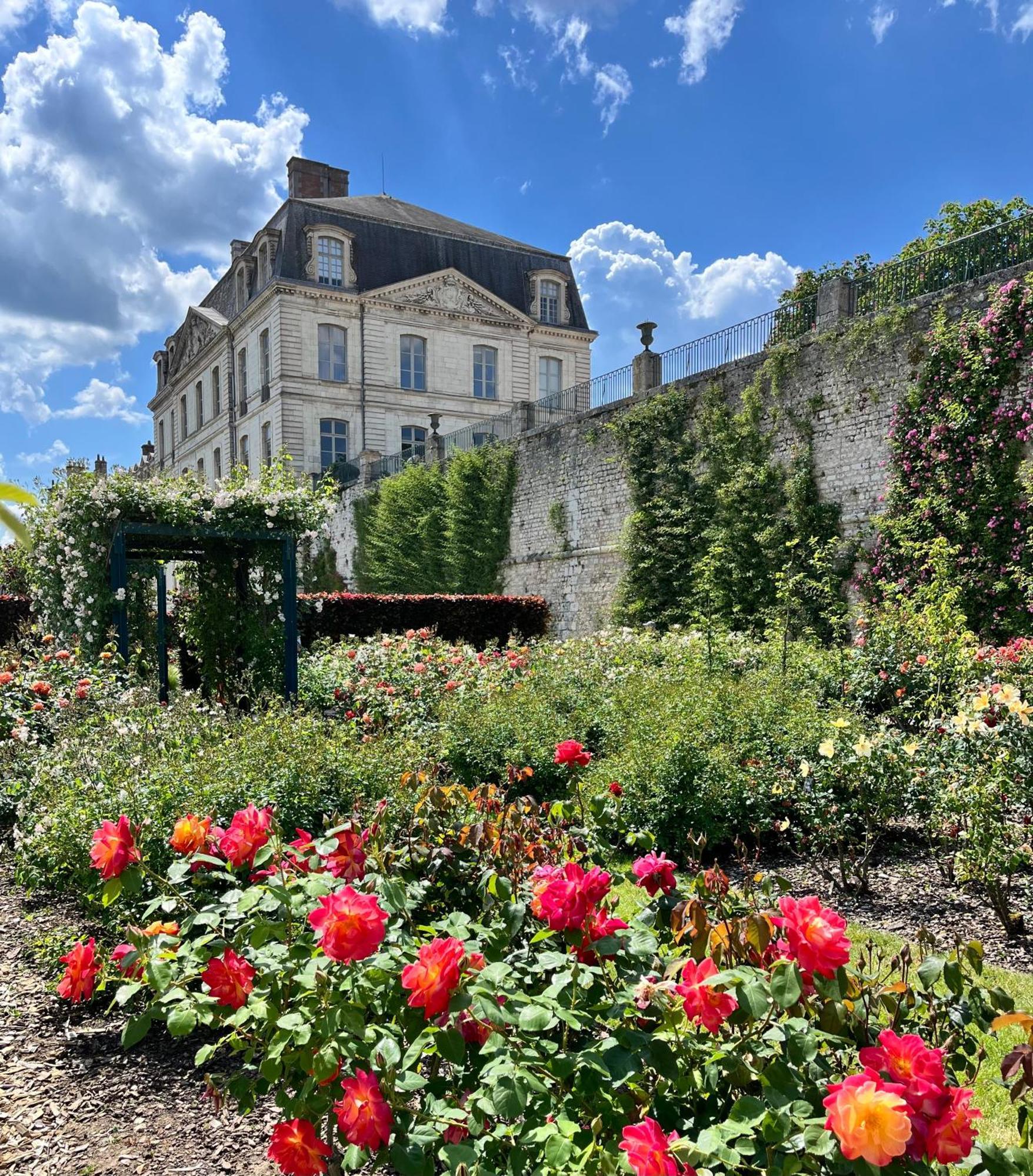 בלואה Chatel Rose - Historical Centre With Garden מראה חיצוני תמונה